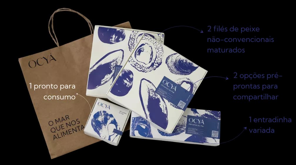 Kit Curadoria Ocyá